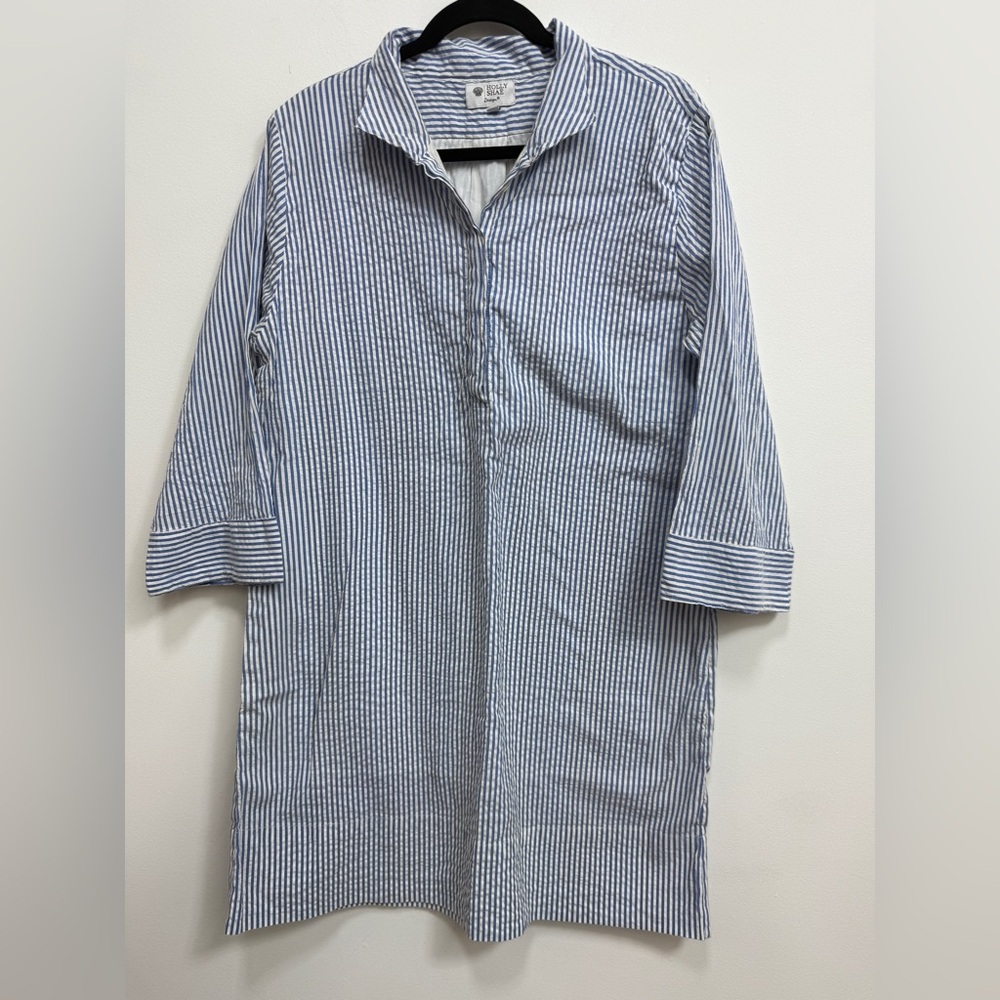 Striped Blue and White Mini Dress Shirt